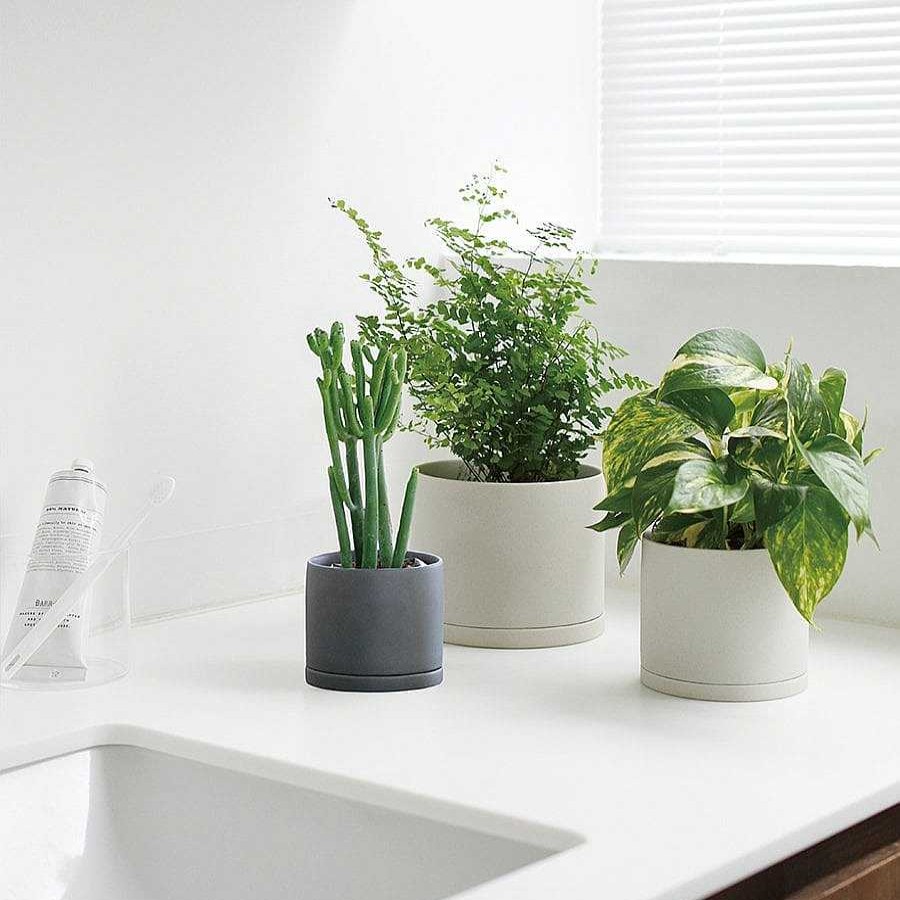 Interior PLANT POT | Plantkruka 191_ 105Mm