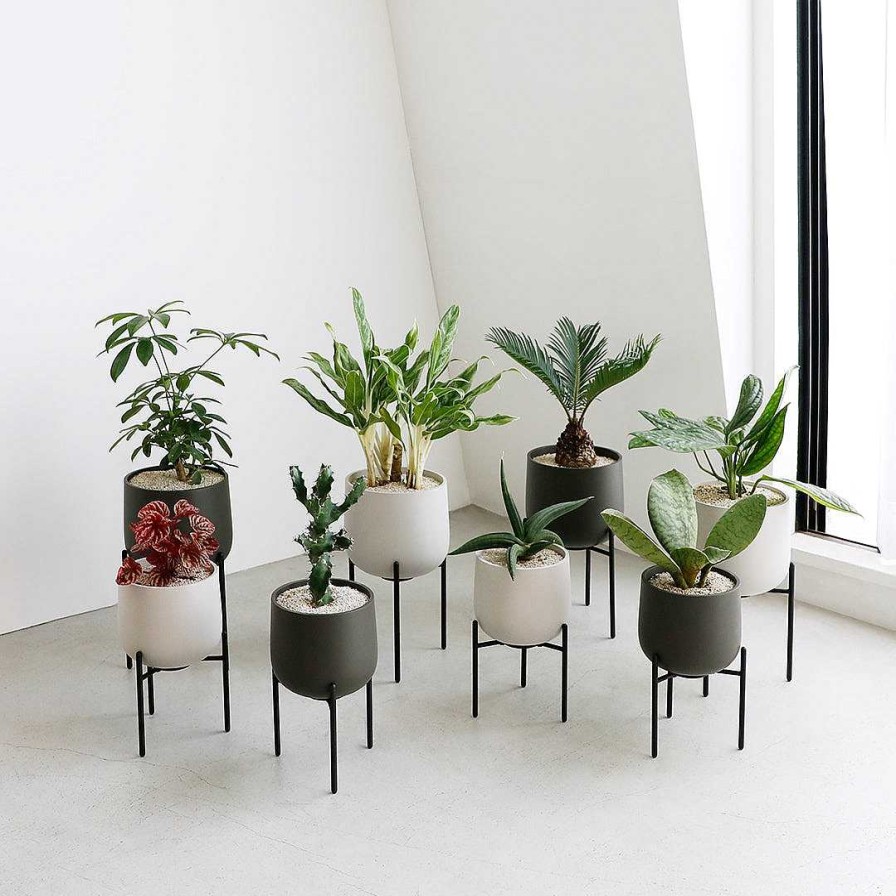 Interior PLANT POT | Plantkruka 211_ 160Mm